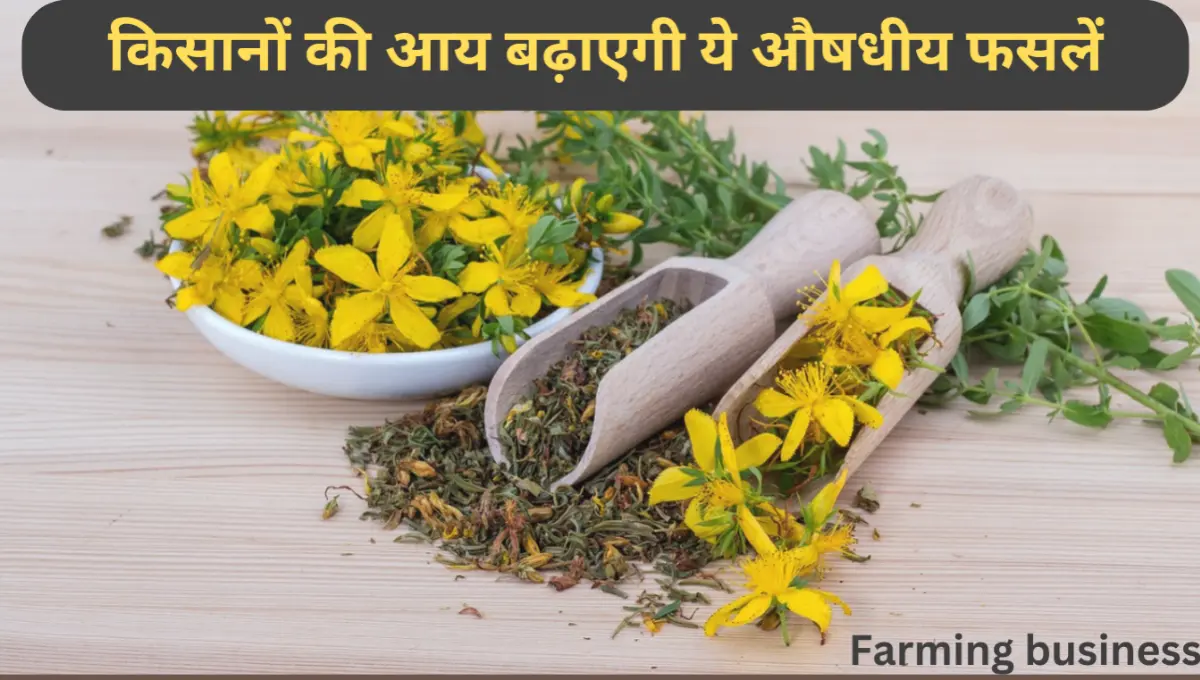 Farming business in hindi