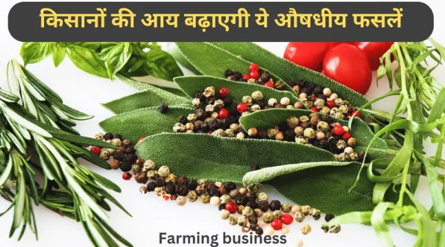 Farming business in hindi