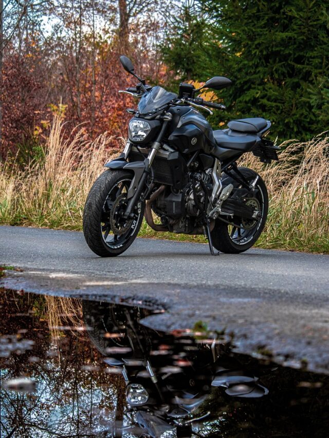 yamaha fz 25
